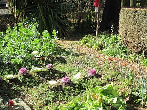 Ботанический сад в Гранаде-4